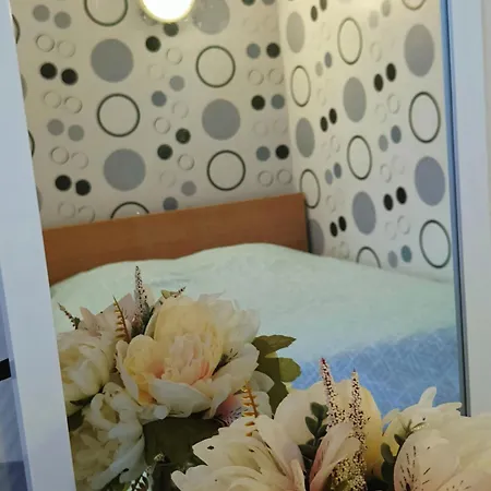 Homestay Tourcoing * Туркуэн