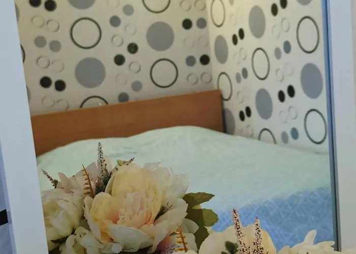 Homestay Tourcoing * טורקואן